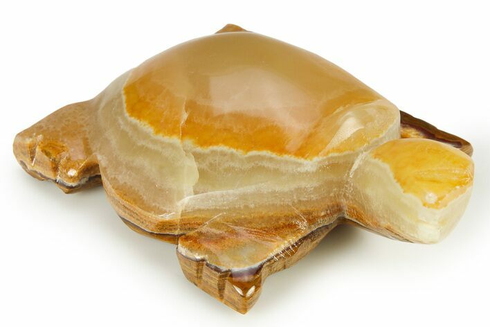 Carved Green Banded Calcite Turtle - Pakistan #265530